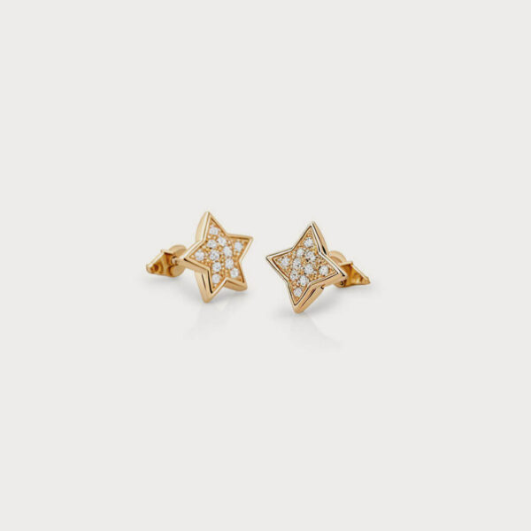 shop48-product6 (2) Earring